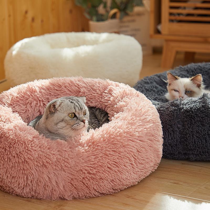 Cama Confortável para Cães e Gatos - EstaçãoForShop